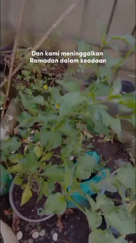 Welcome Ramadhan
