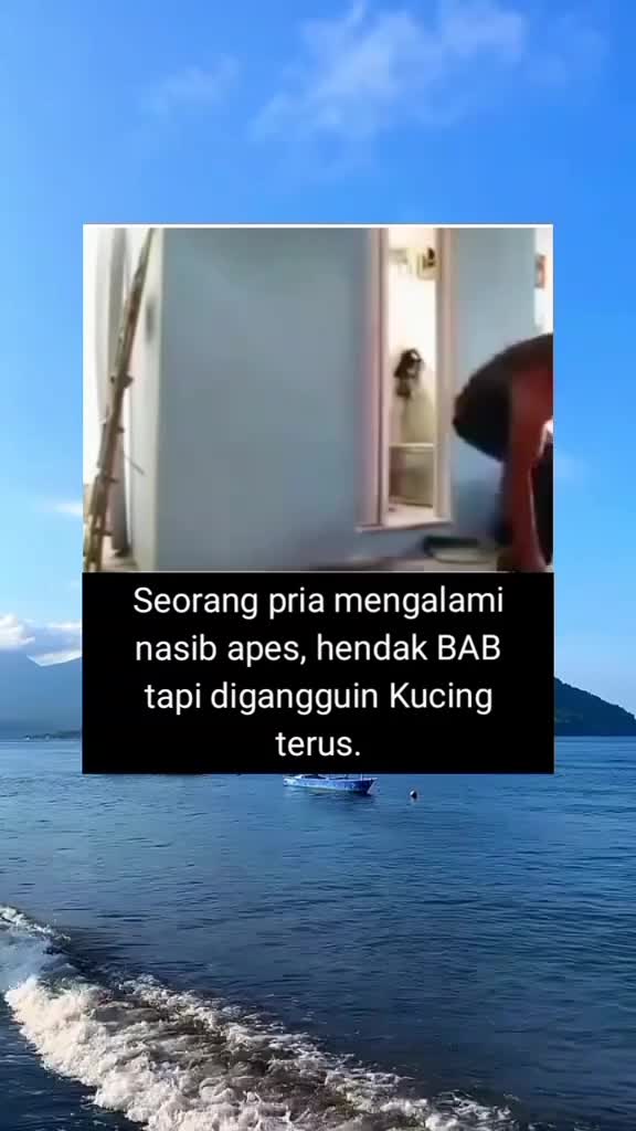 mau bab malah di jailin sama kucing