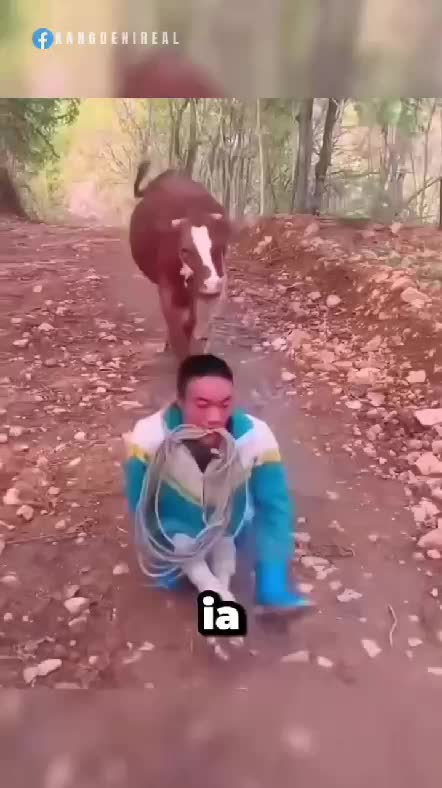 lihat ini  #RCTIPlus  #RCTIoke  #rctiofficial  #Viral  #trending  #hiburan 