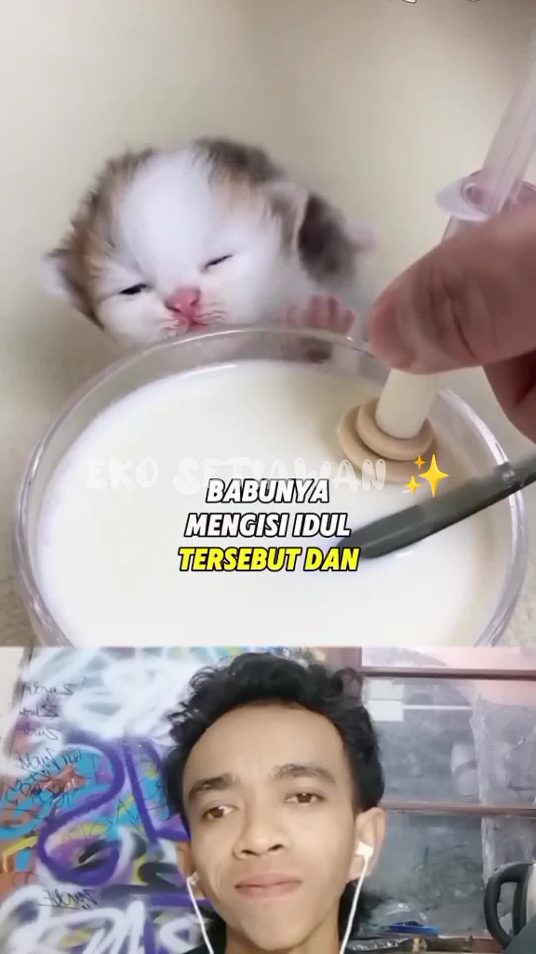 anak kucing ini sangat suka minum susu??