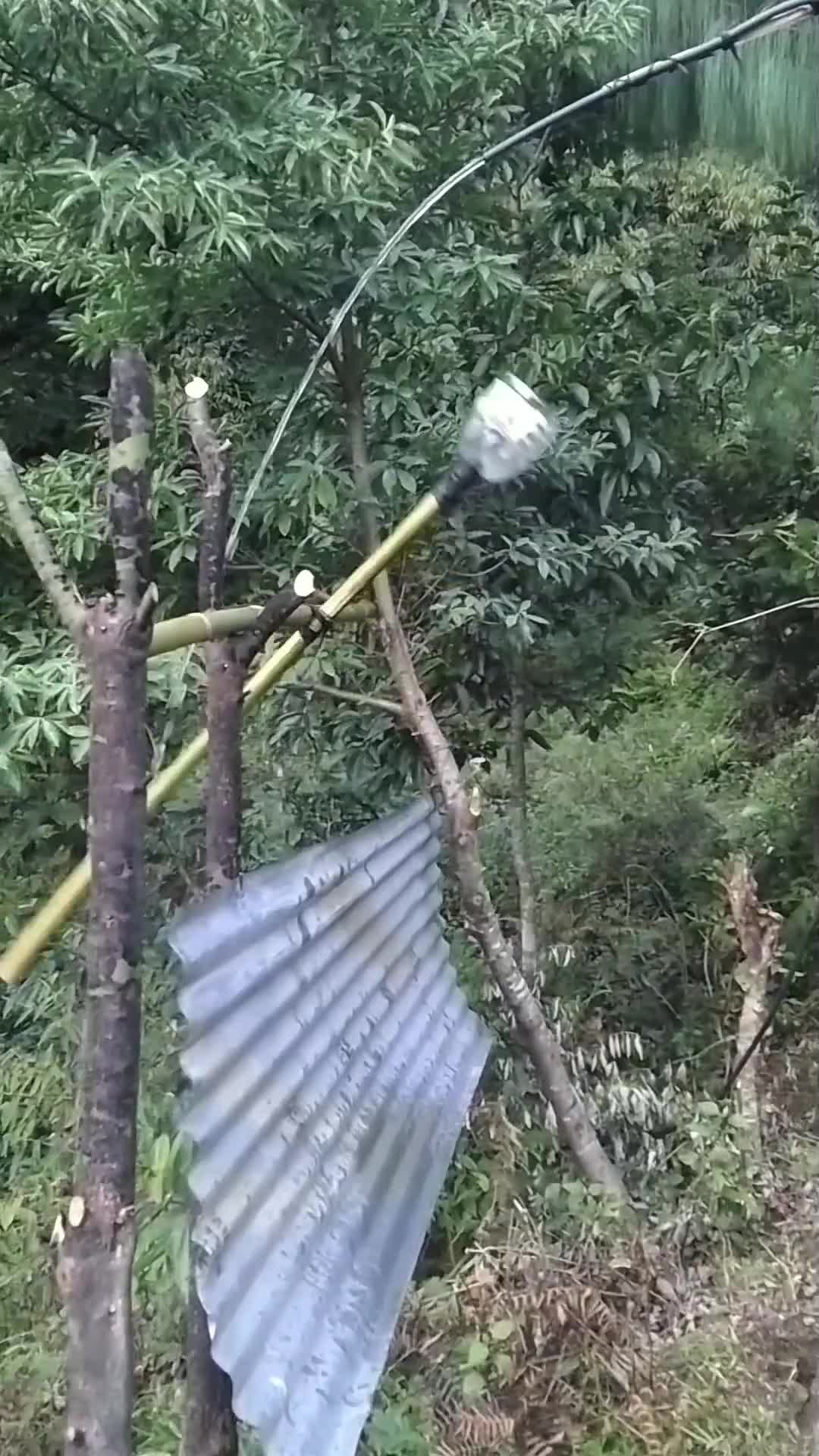 senam jantung tiap hari ???