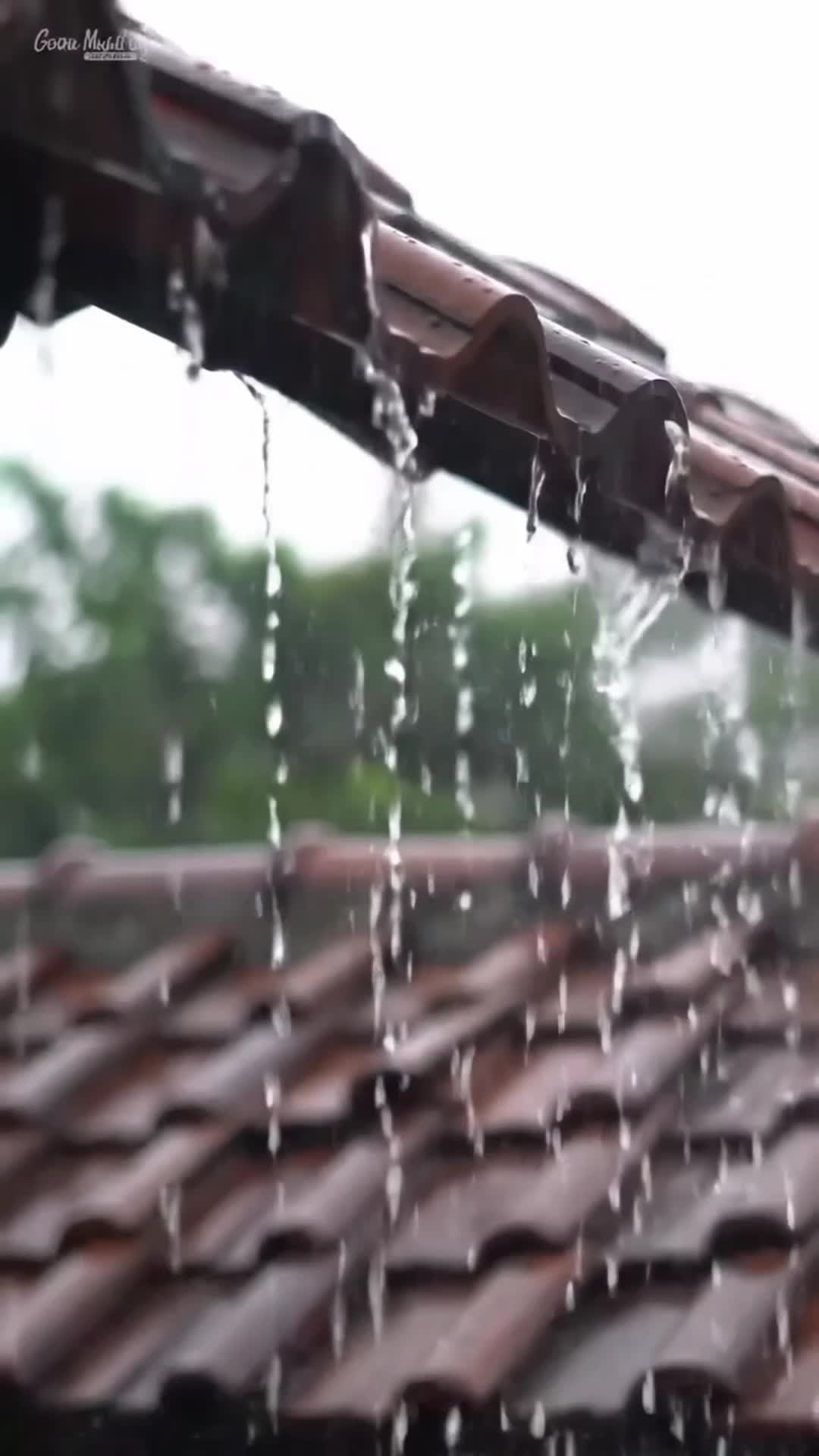 ASMR Suara Hujan yang Menenangkan 🌧️ | Relaksasi, Tidur, Belajar, Fokus #ASMR, #Hujan, #SuaraHujan, #RainSounds, #Relaksasi, #Meditasi, #Tid