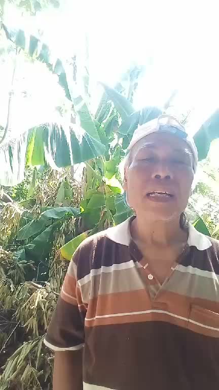 #eart song by micheal jakson(cover)"lestarikan alam"bencana alam akibat keserakahan manusia