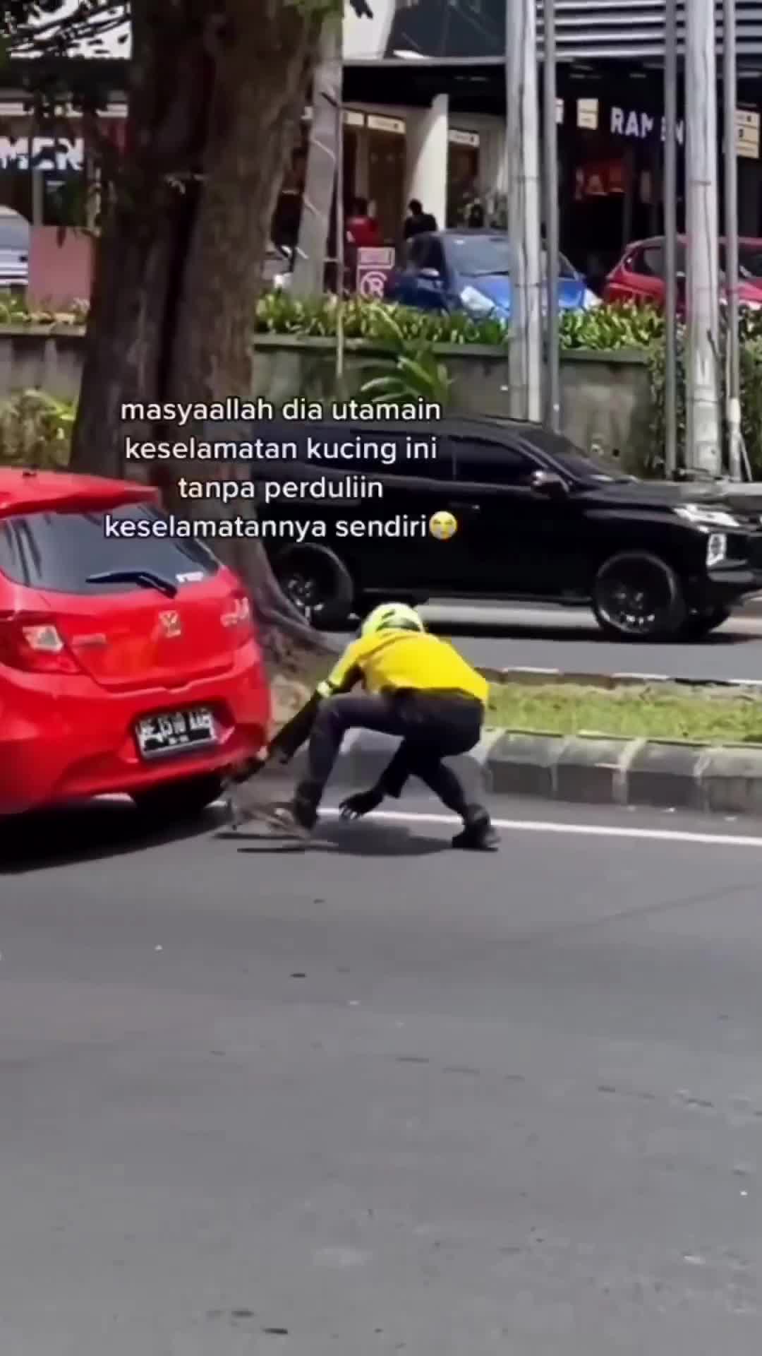 Masya Allah.. Abang Maxim selamatkan kucing