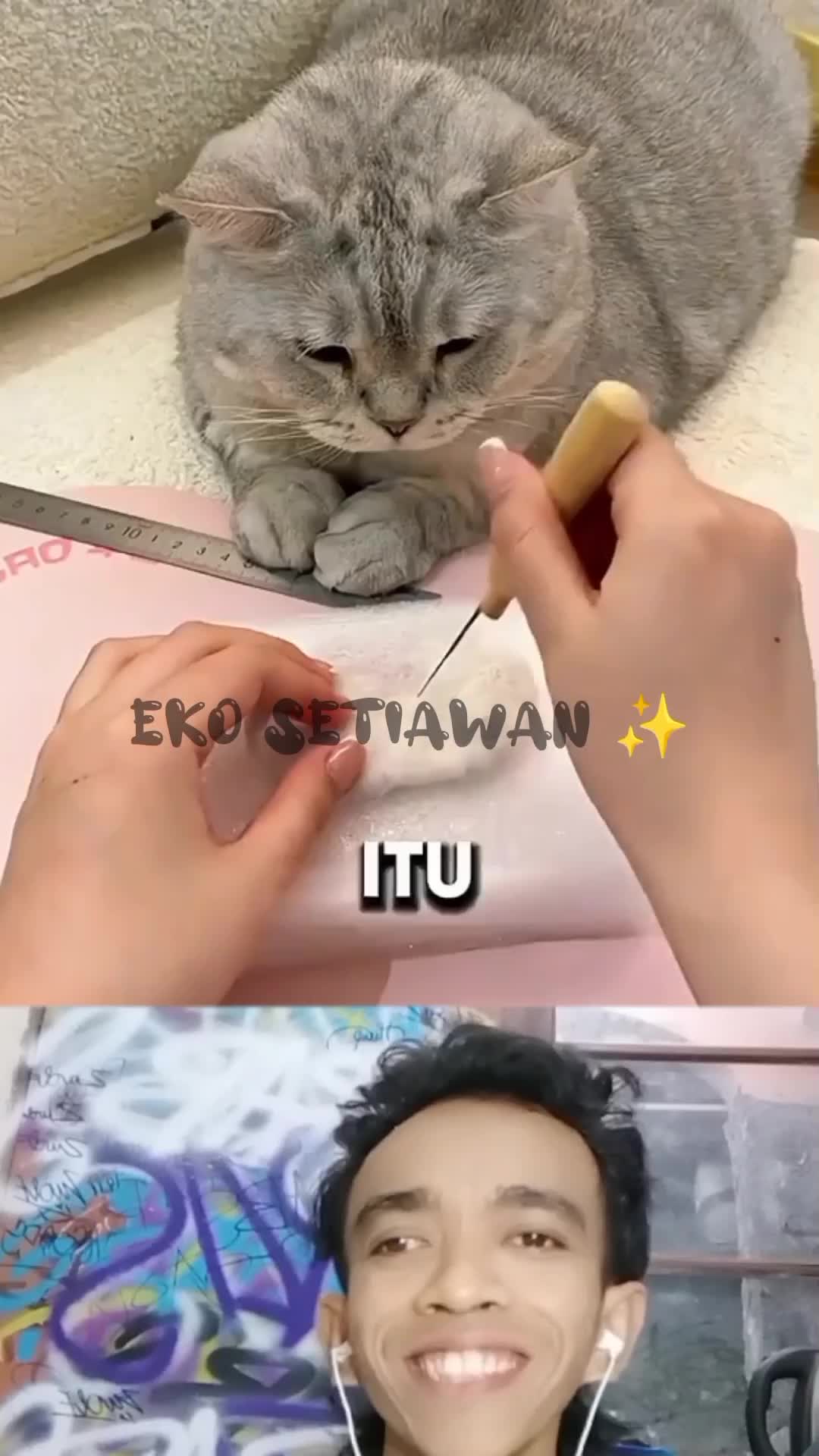 kucing ini sangat senang karena pemiliknya membuatkan sepatu ?