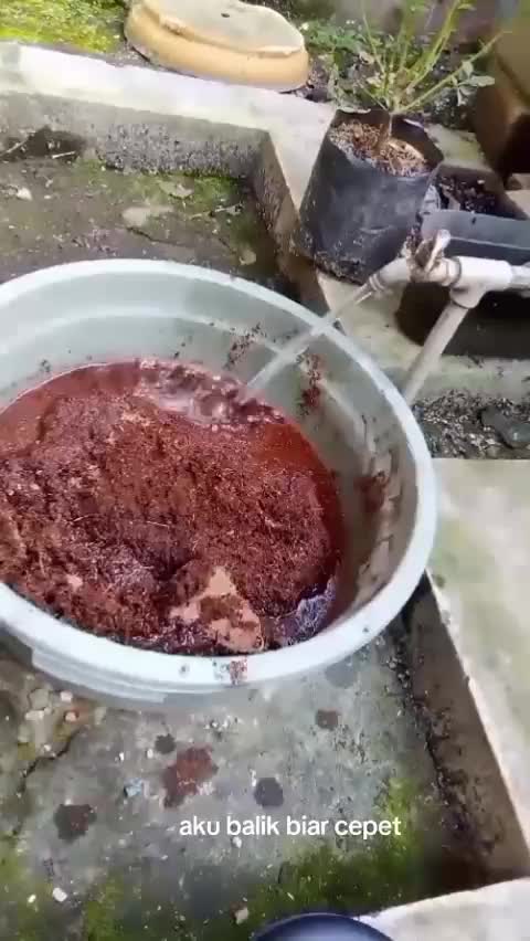 review  cocopeat 1kg  #cocopeat  #kebunshaka  #Berkebun 