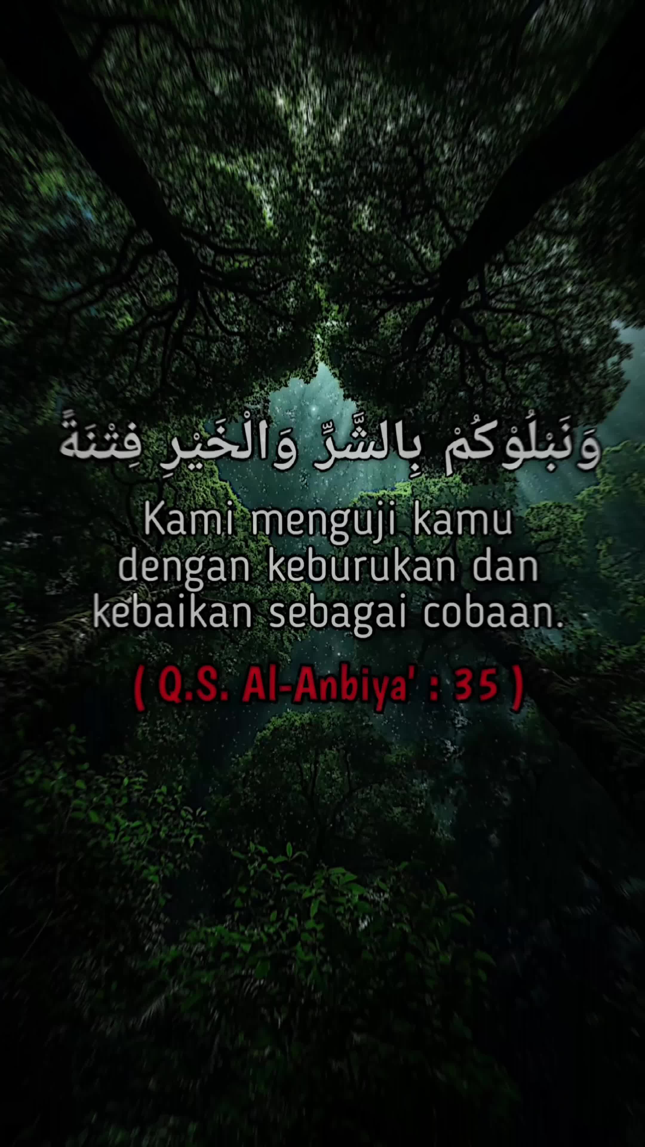 cover-image