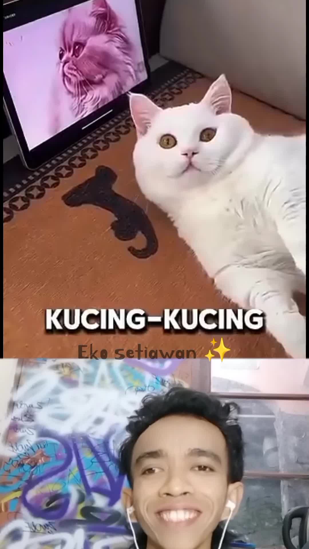 kucing ini sangat ingin memiliki bulu berwarna 😁