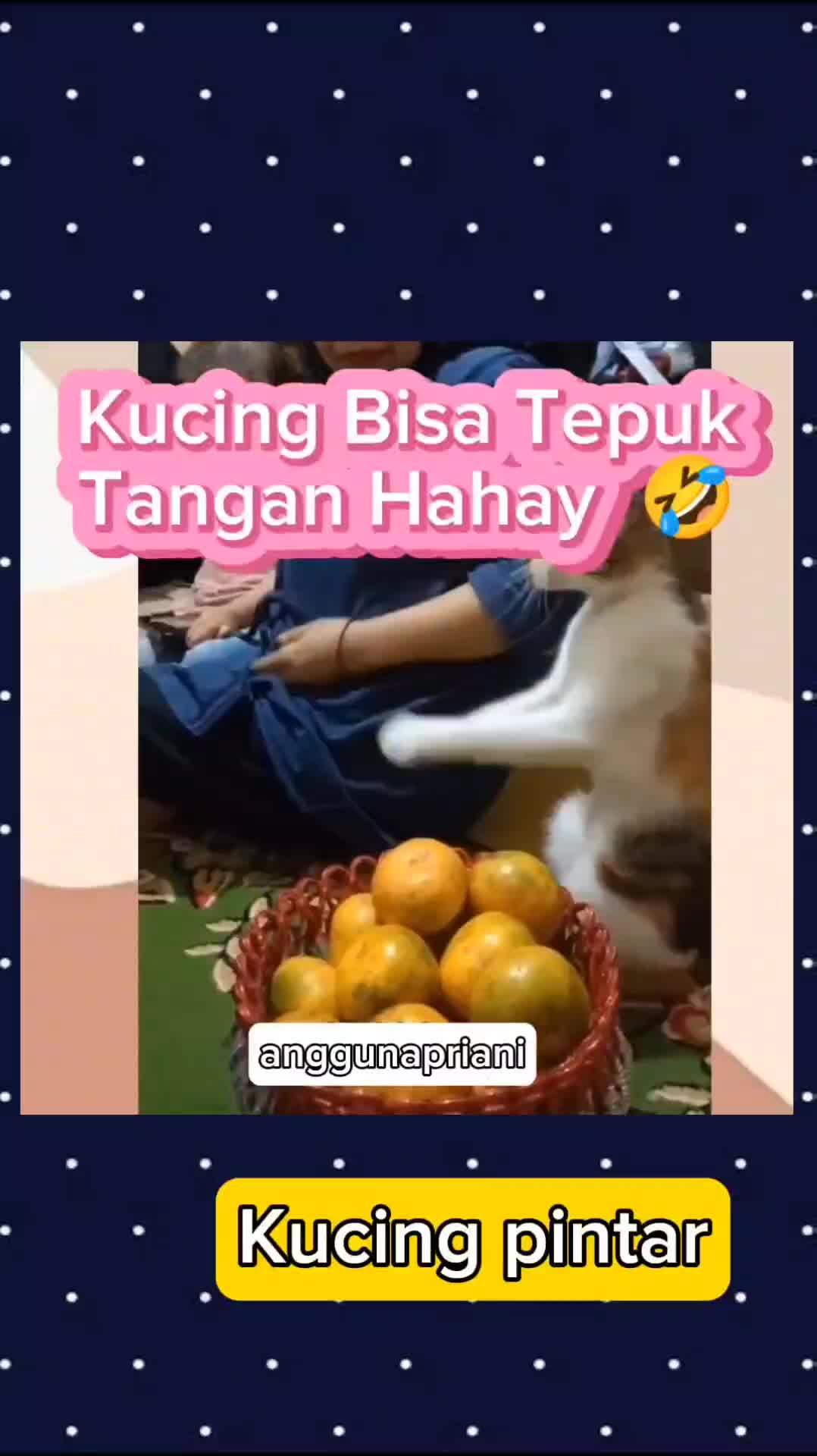 kucing pintar 😘 #cat #Kucing #kucingoyen #kucinglucu #duniakucing #Viral #fyp #trending 