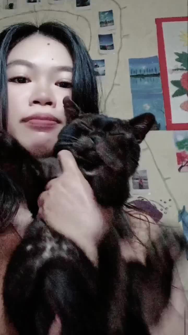 ada yg punya kucing kek aku ga?