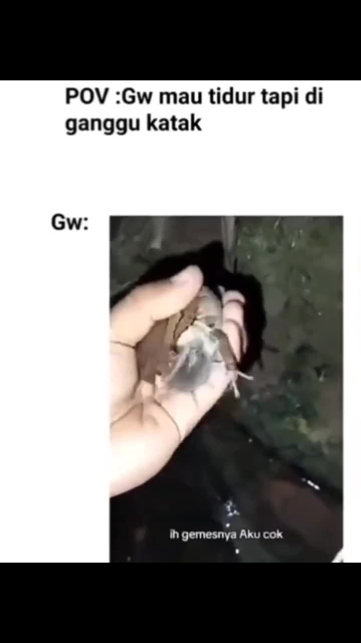 ngoang ngoang 2 #fyp 