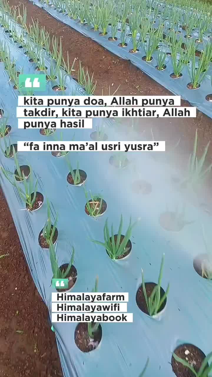 #otw jadi petani millenial modern 
#petani mau ikut balap 
#jateng 