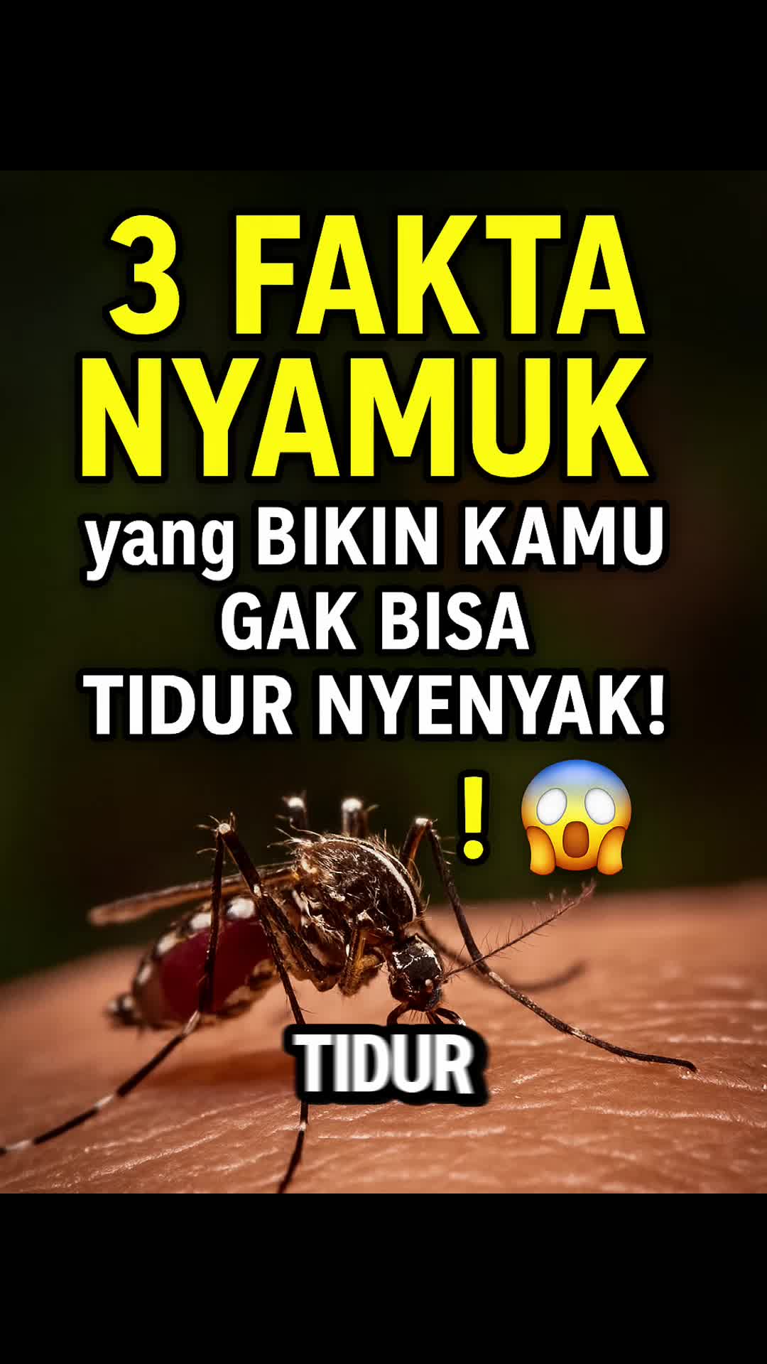 3 Fakta Kijang yang Bikin Kamu Takjub! 🦌⚡