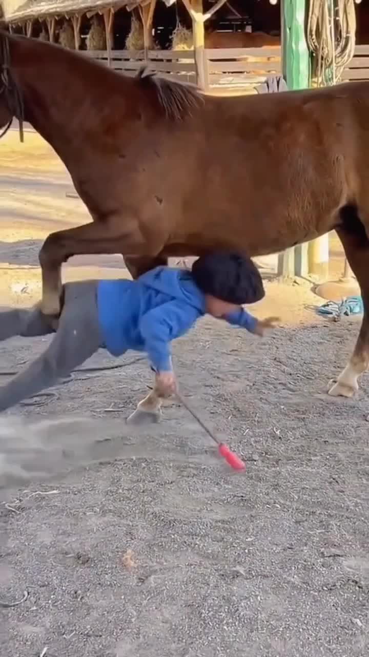 bahaya bocah kalo Deket hewan 