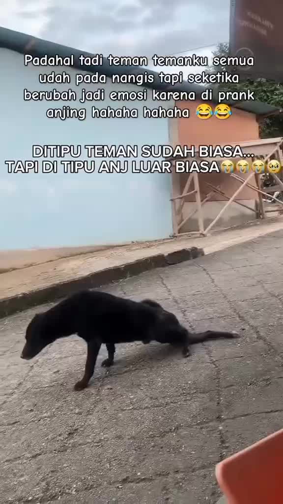 vvvv
