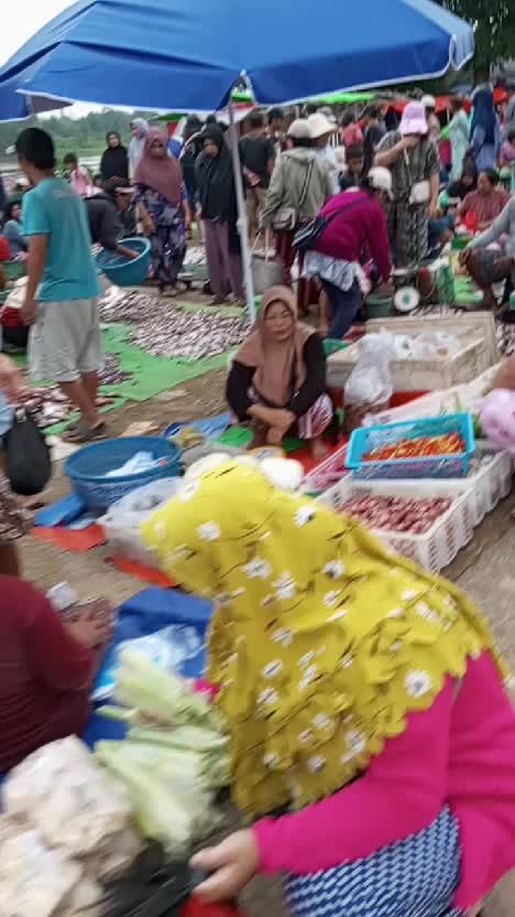  #hasil hutan dan sungai air kalimantan