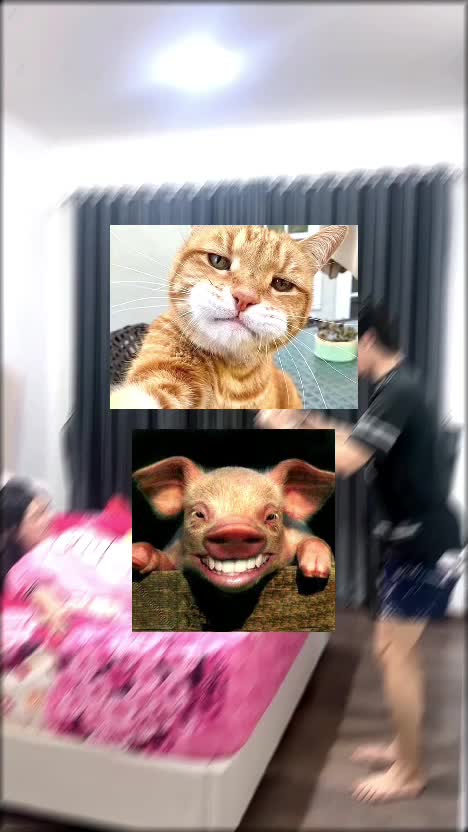 lihat cuy  #RCTIPlus  #HOTrctiplus  #RCTIoke  #rcti 