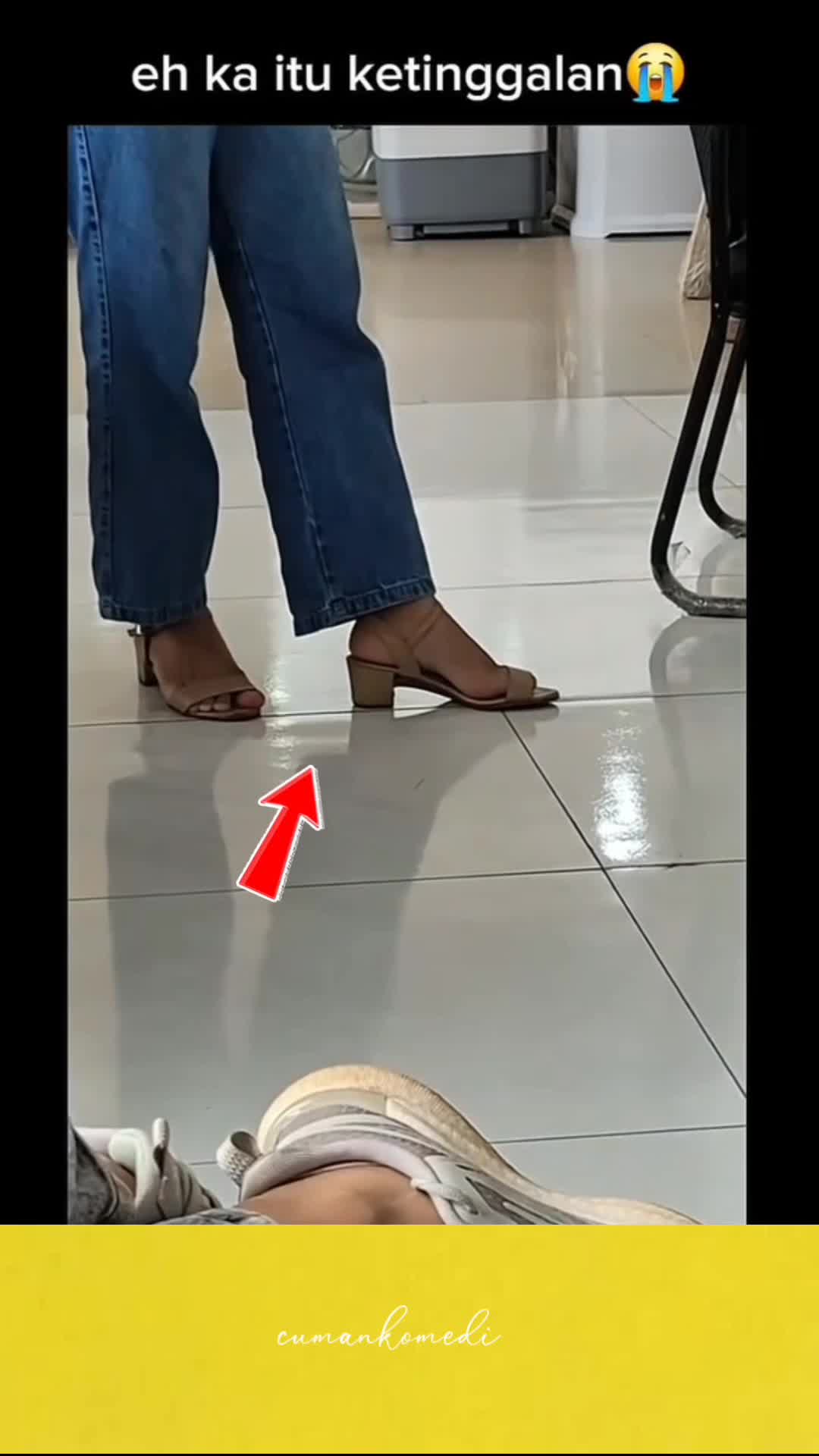 ini beneran terbang di atas daun 🤣 #videolucu 
