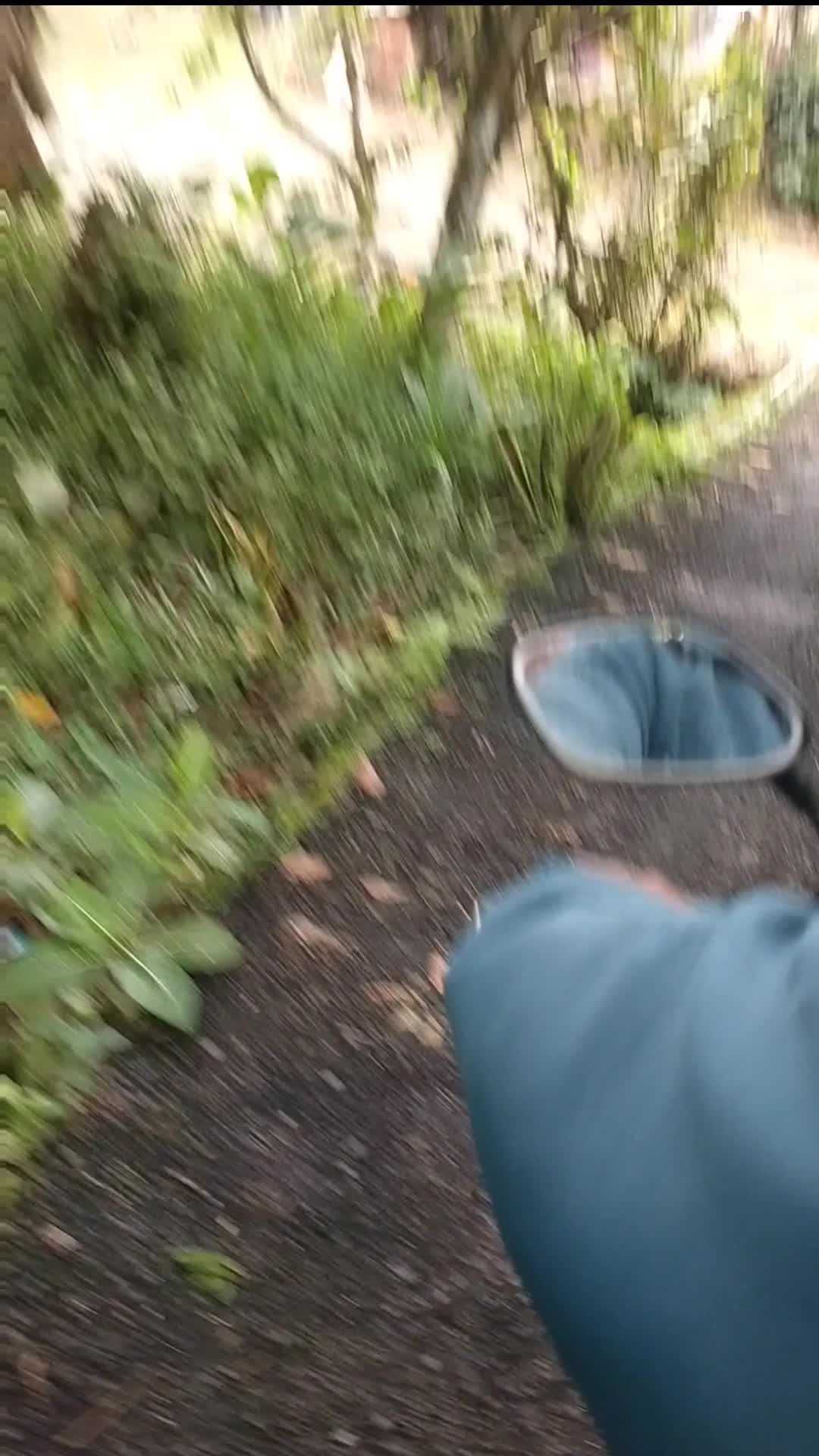 Menulusuri Jalan Turunan Medasih wonosobo