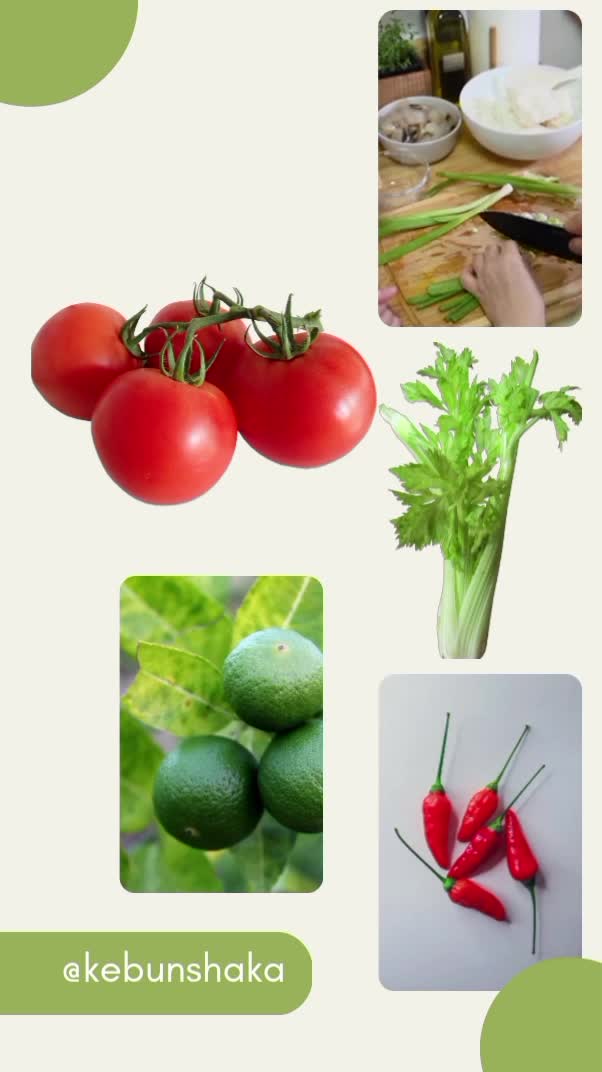 Tanaman Bumbu yang bisa tumbuh di kebun #kebunshaka 