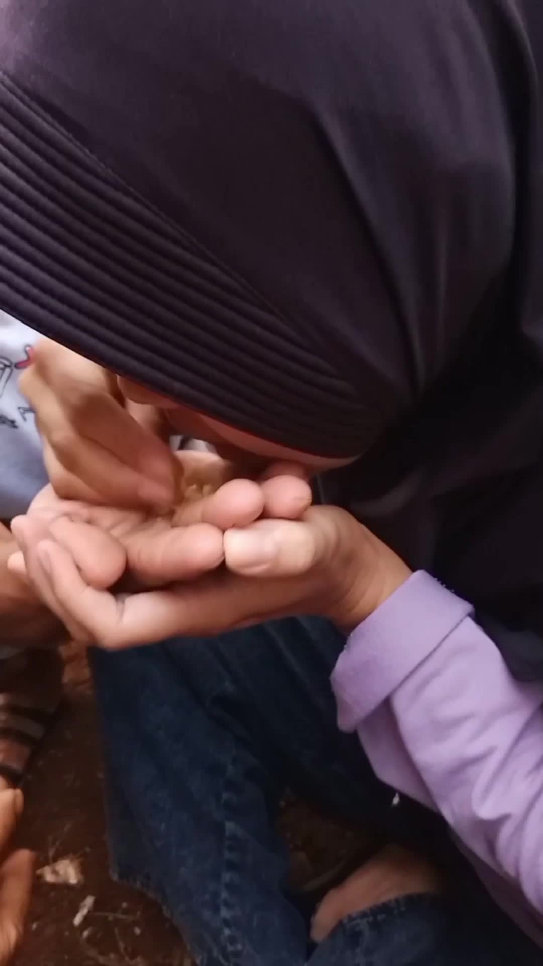  #senimantradisonalmuda 