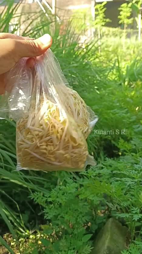 Belanja pagi ini lalu petik sayuran di kebun untuk makan siang. masyaAllah #berkebun #beternak #suasanapedesaan 