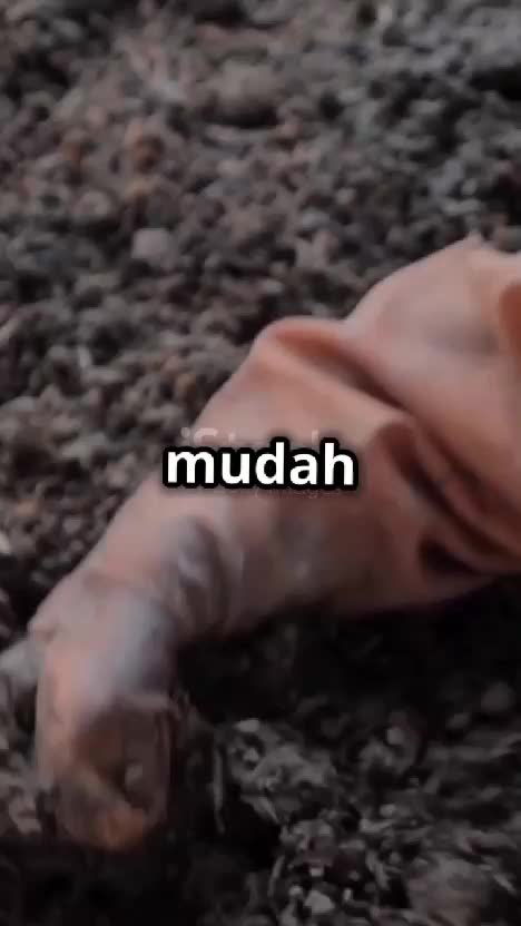 Temukan keseruan menanam sayuran di halaman rumah Anda! Dalam video ini, kami akan membagikan tips praktis dan menyenangkan tentang cara mem