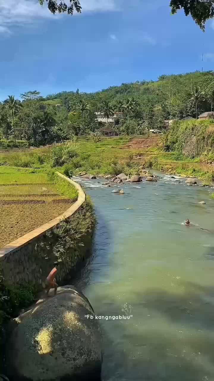Indahnya suasana pedesaan dengan pemandangan yg indah dan sejuk...

 #suasanapedesaan  #indah banget 