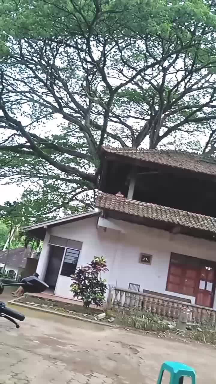 sangat tenang jauh dari kebisingan duniawi #keindahan alam gianyar
