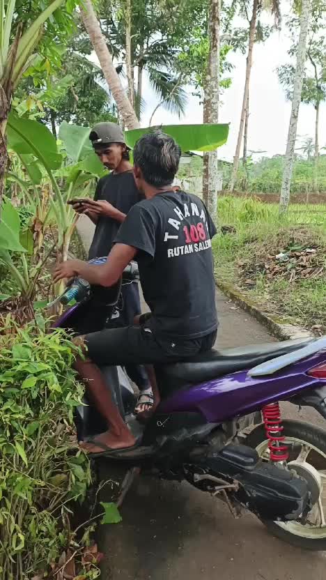 cium pohon pisang #videolucu  #lucu  #komedi 