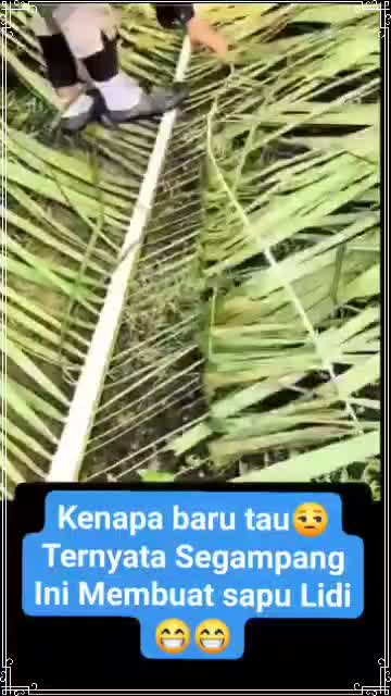 Cara mudah buat sapu lidi 😁👌 #RCTIPlus  #HOTrctiplus # #fypシ゚viral 