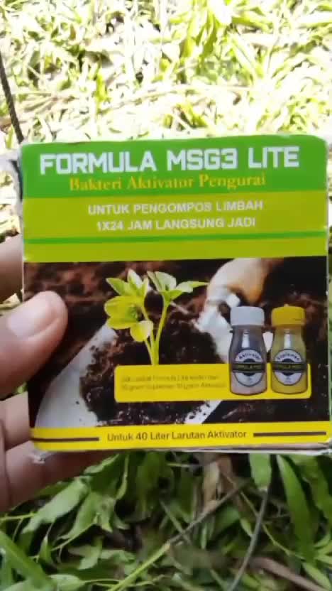Formula MSG3 Lite, bikin pupuk kompos jadi lebih cepat  #kebunshaka  #kompos  #bikinkompos 