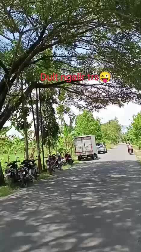 ? #fypシ゚viral  #RCTIPlus  #HOTrctiplus 