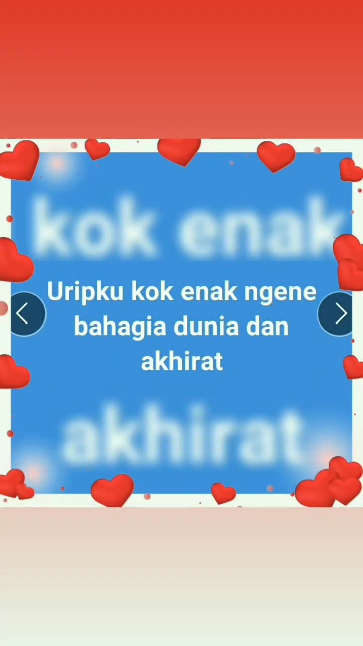 bsbdb