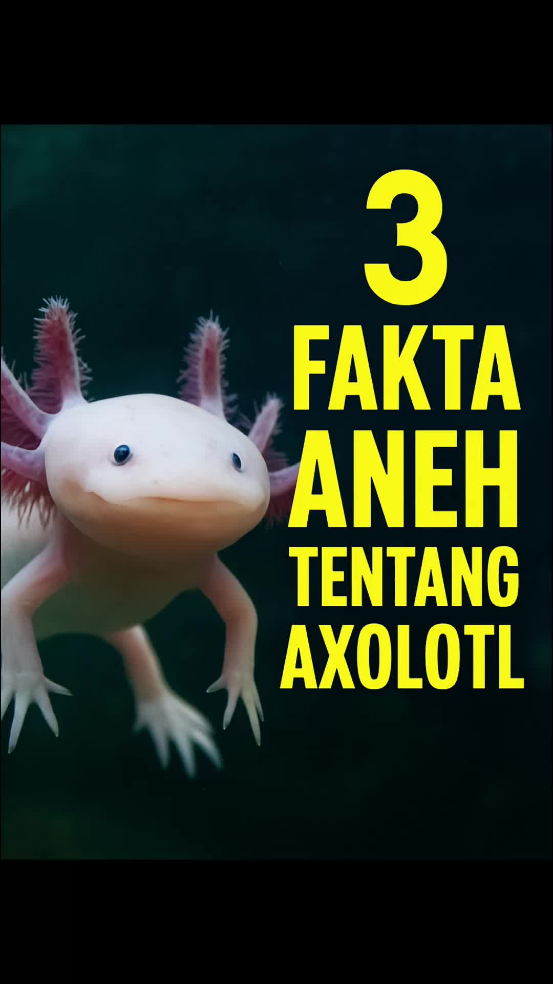 cover-image