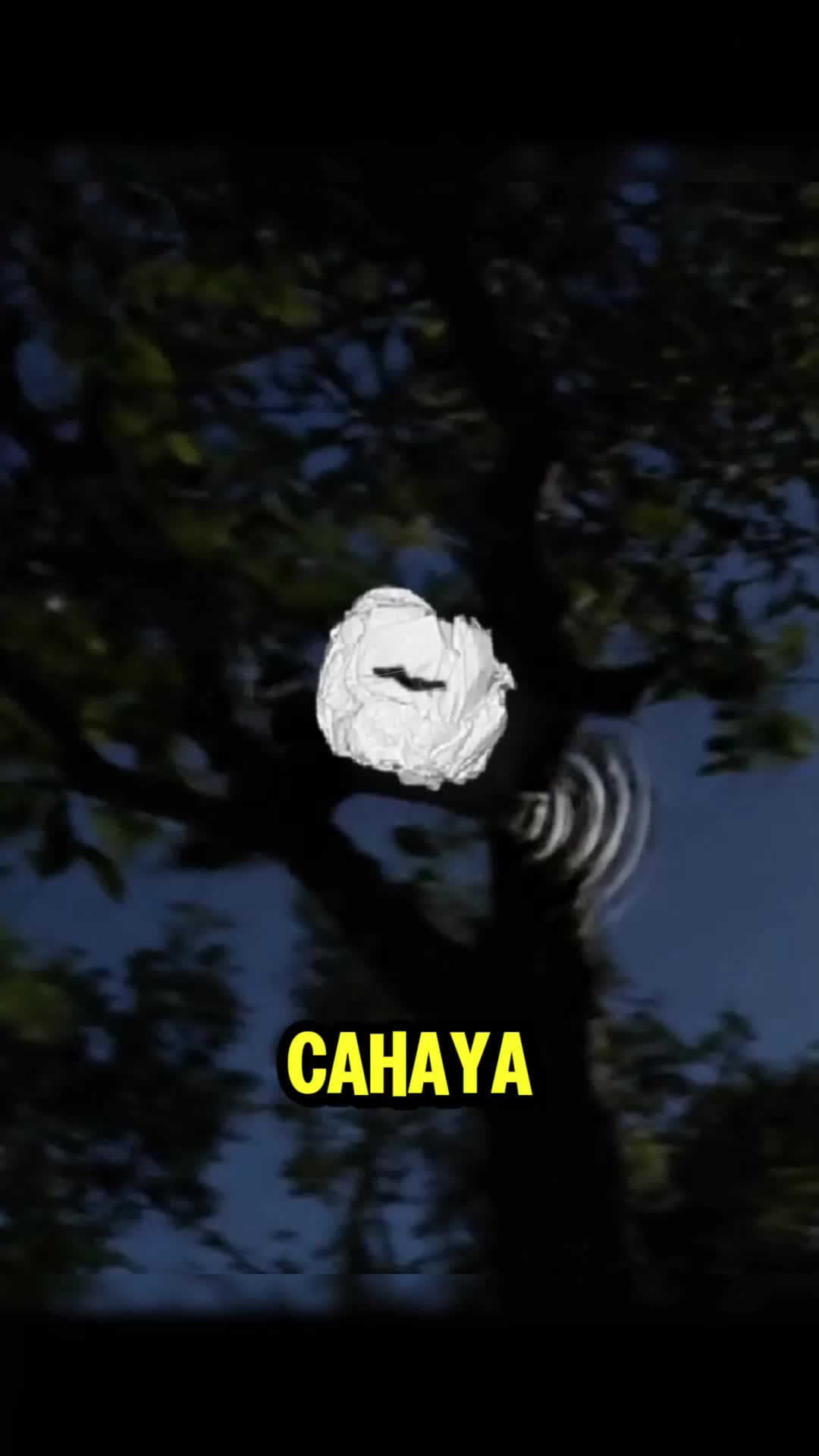 "Indra Hewan Ini Melampaui Imajinasi Kita!"