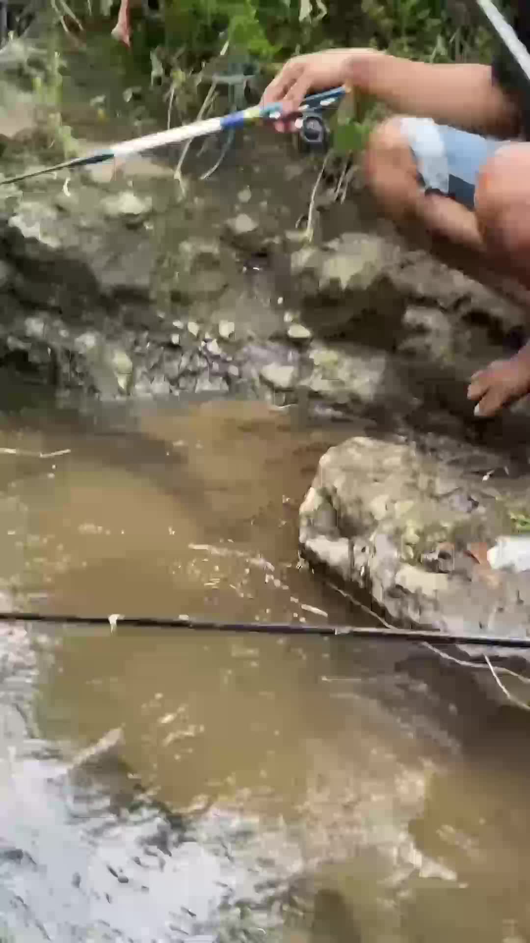 berburu ikan nilem disungai