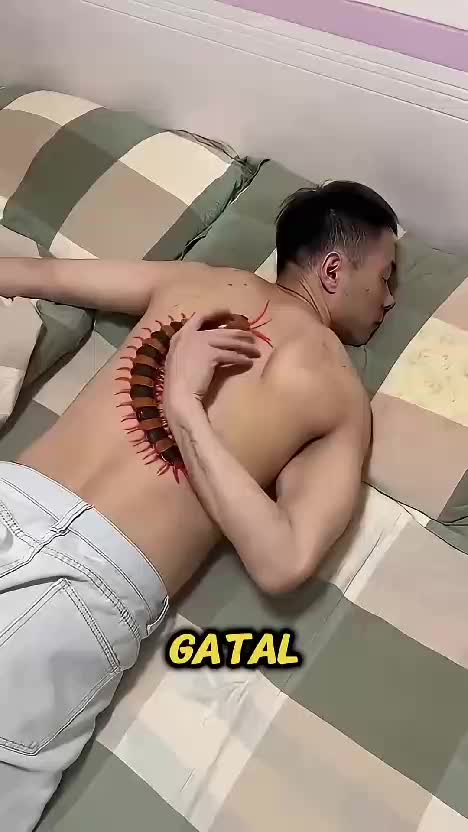 lihat cuy  #RCTIPlus  #HOTrctiplus  #RCTIoke  #rcti 