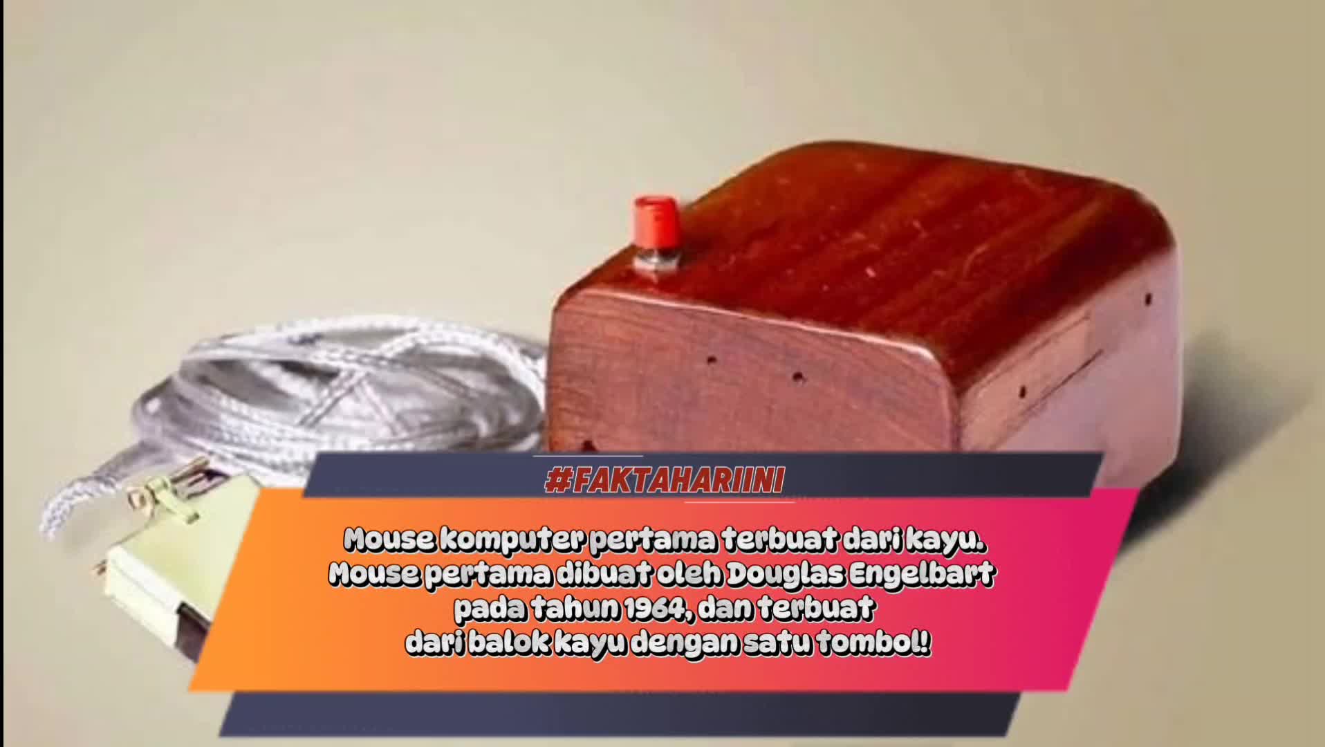 Fakta Hari Ini #Fakta sii 😂 