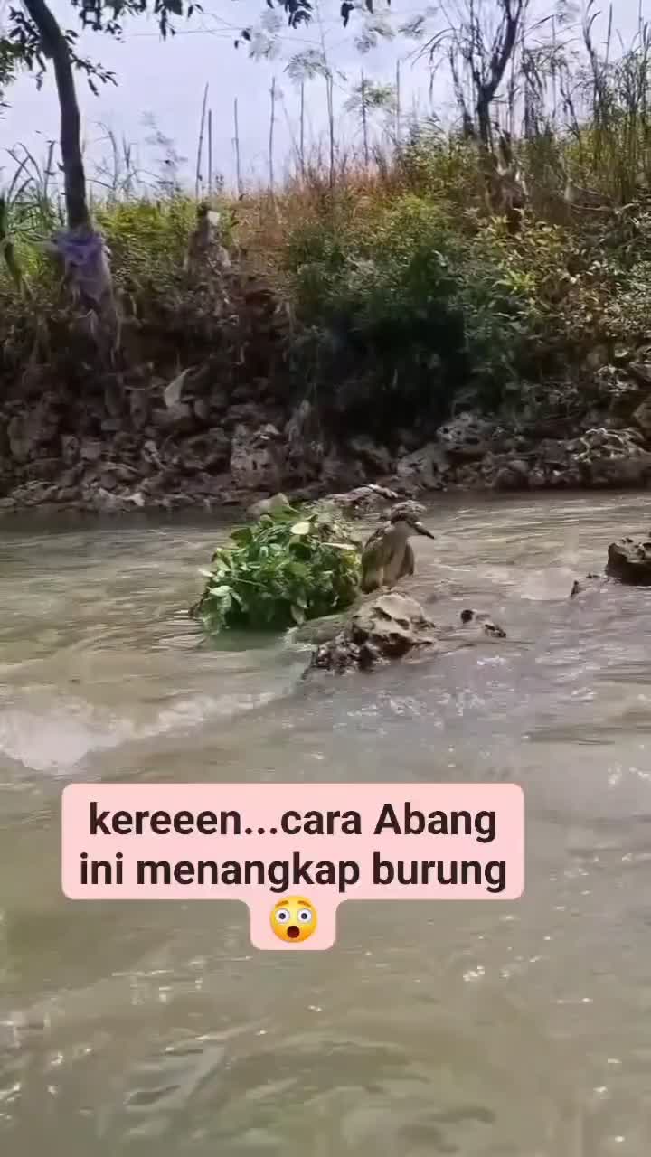 Ada ada aja bikin ngakak