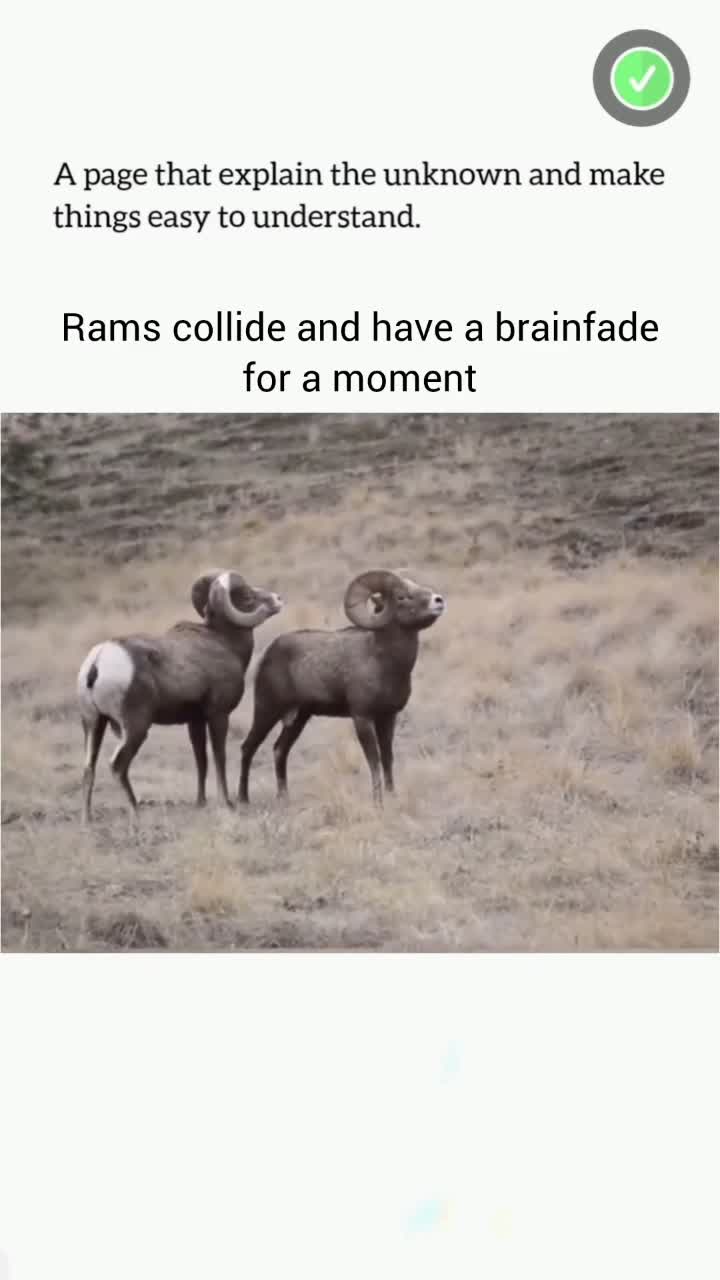 This Will Blow Your Mind! Part 94 🔥 #crativeprocess #innovation #trendingnow #inspiration