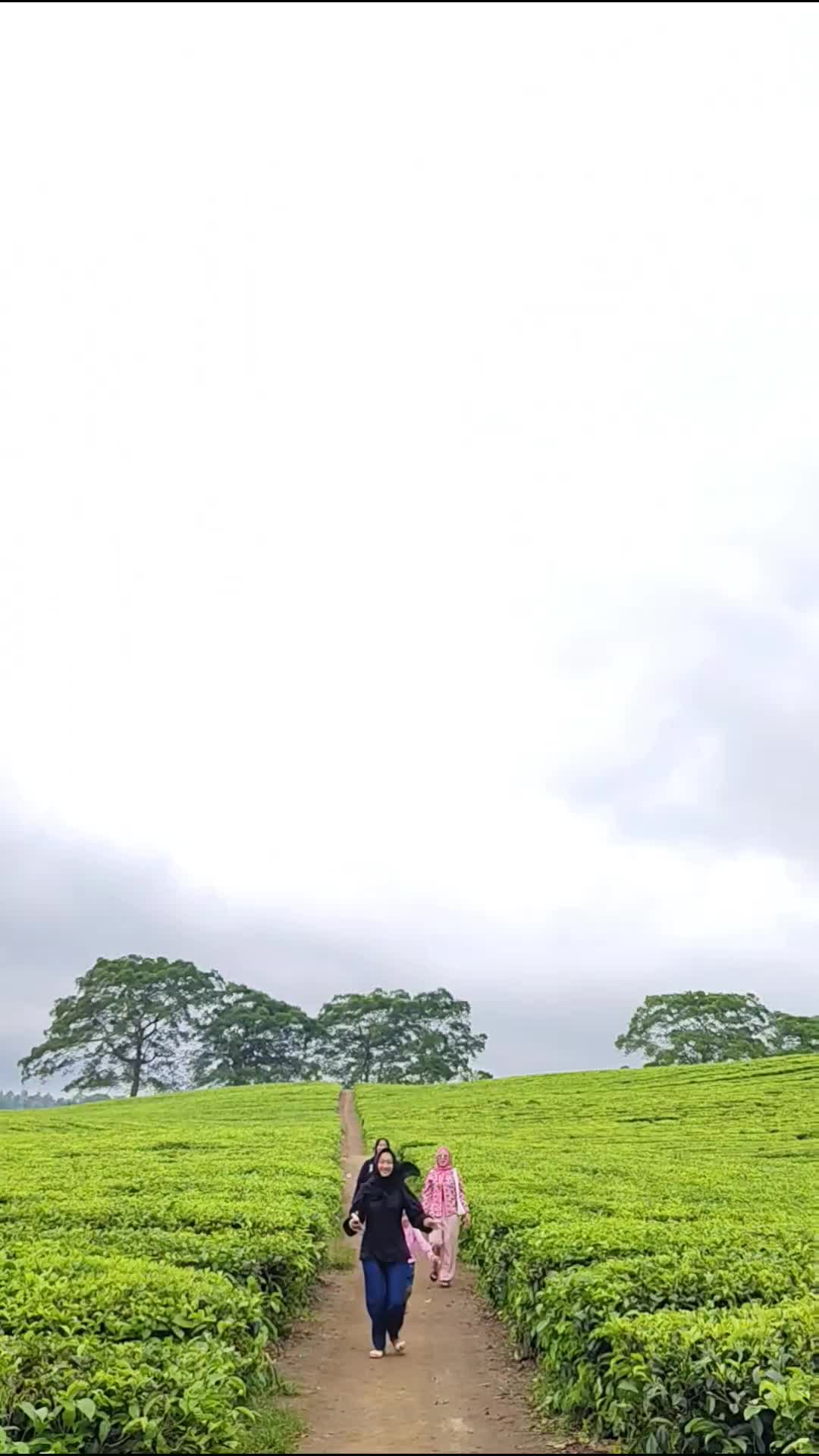  #kebuntehsidamanik
#sidamanik
