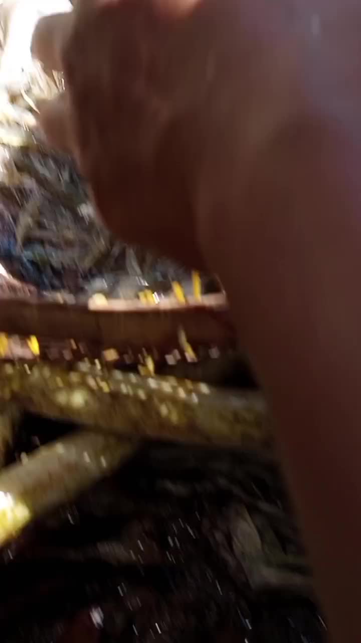 mau besar, mau kecil, tetap aja namanya ikan 😄 #ikan
