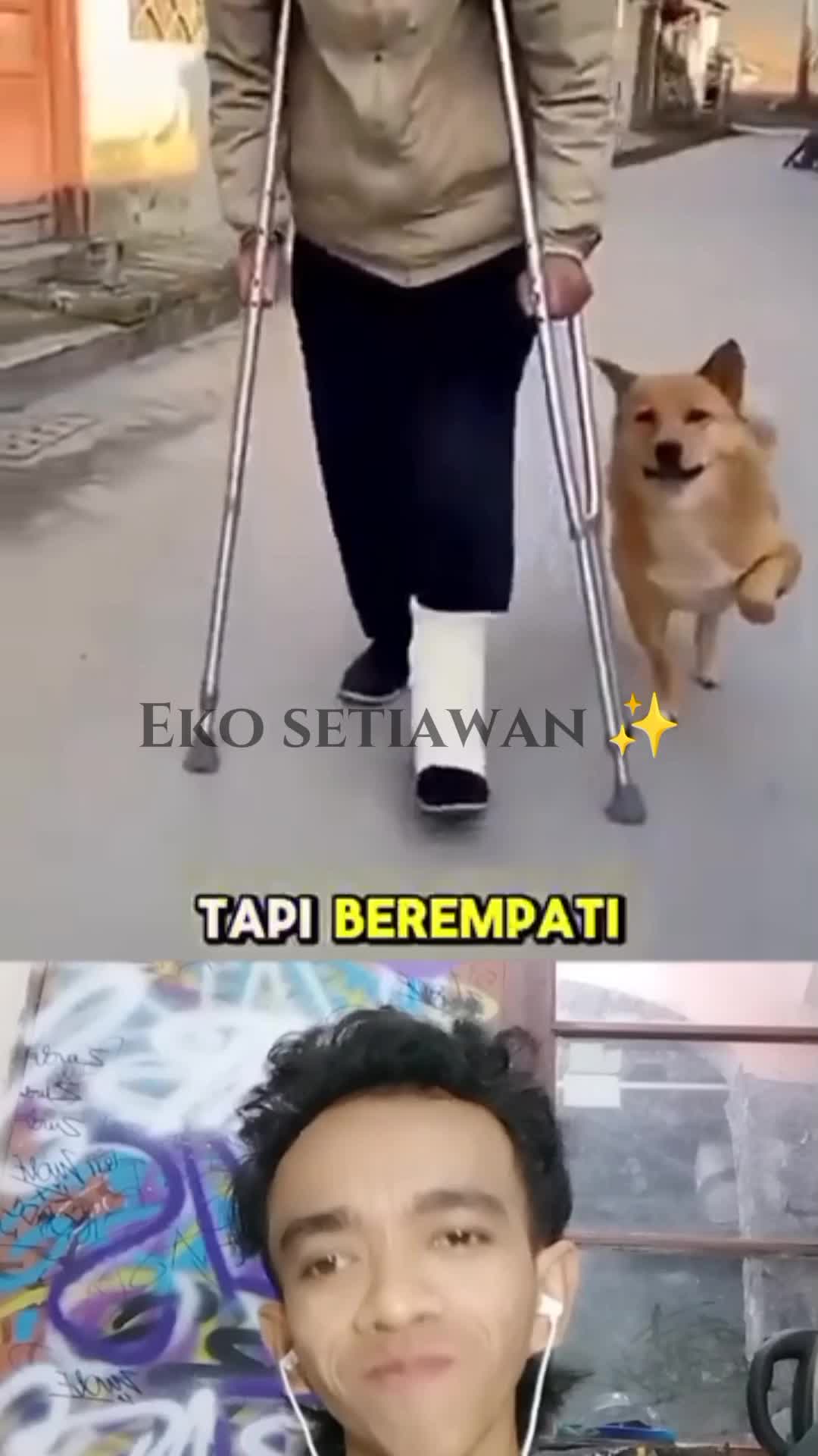 kalian tau gak anjing itu adalah hewan yang paling setia ?