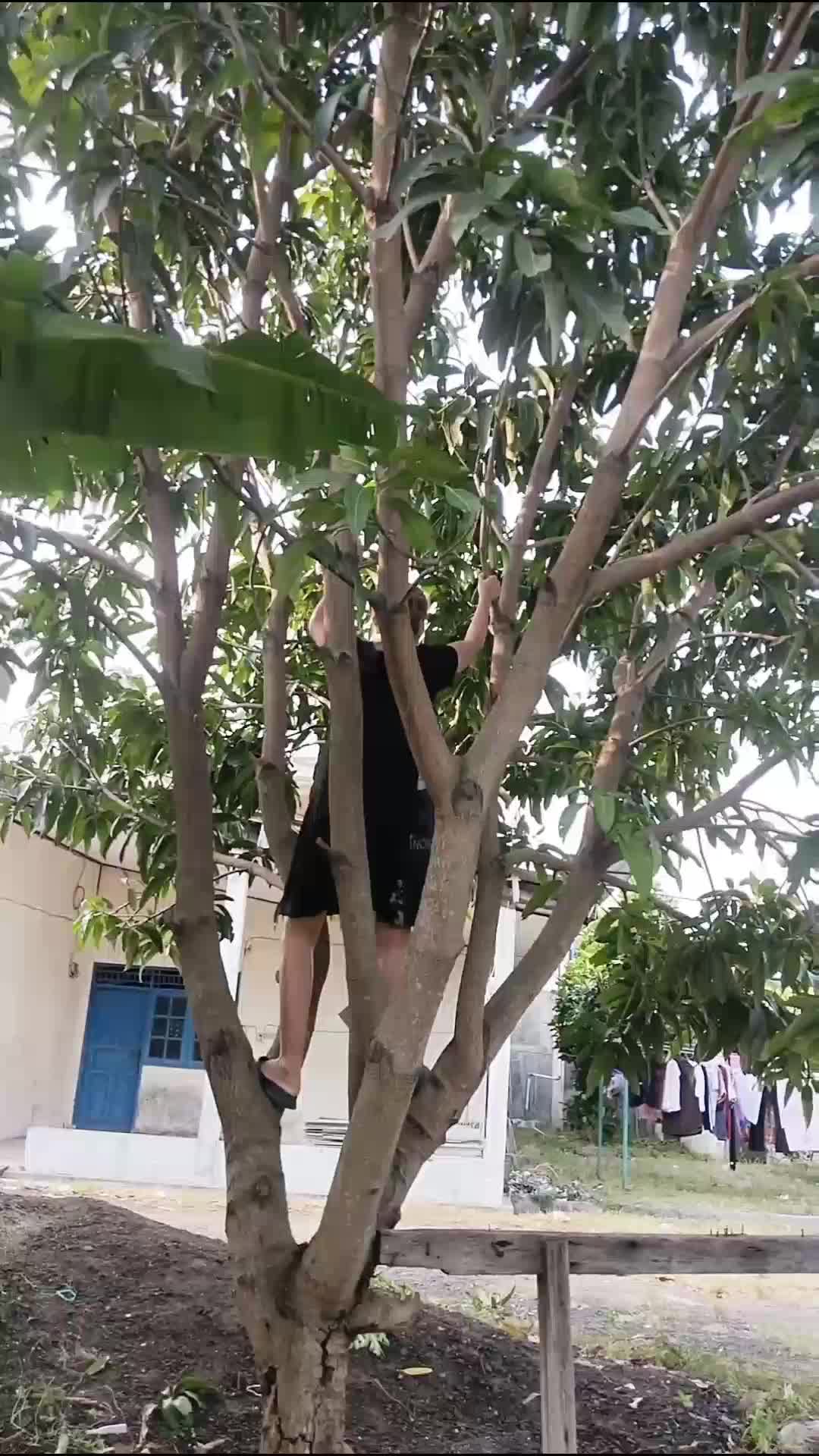 metikangga pake jurus pahit. 