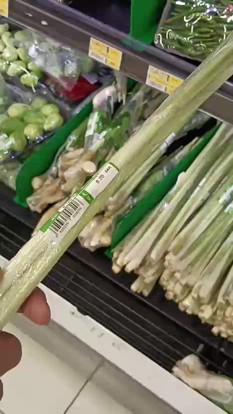 DUREN DAN REBUNG DI ARAB DAUDI HARGANYA MAHAL BANGET  #RCTIPlus  #rcti 