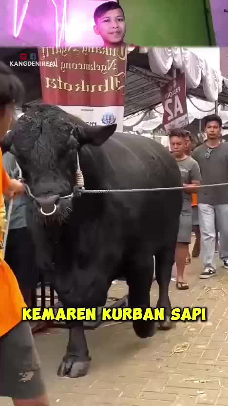 lihat  #RCTIPlus  #rcti #Viral  #trending 