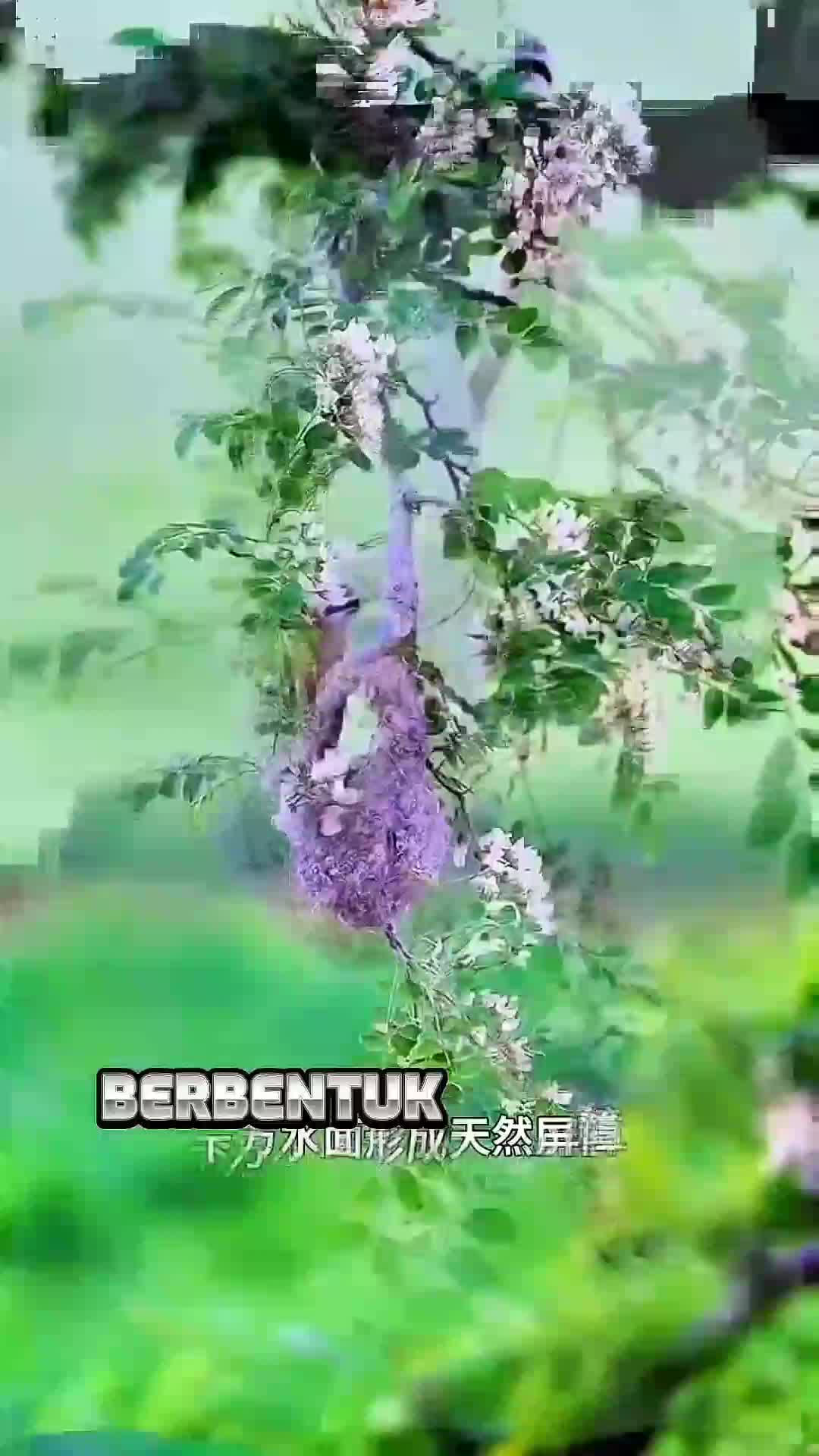 arsitek kecil yg pinntar #fypシ゚viral 