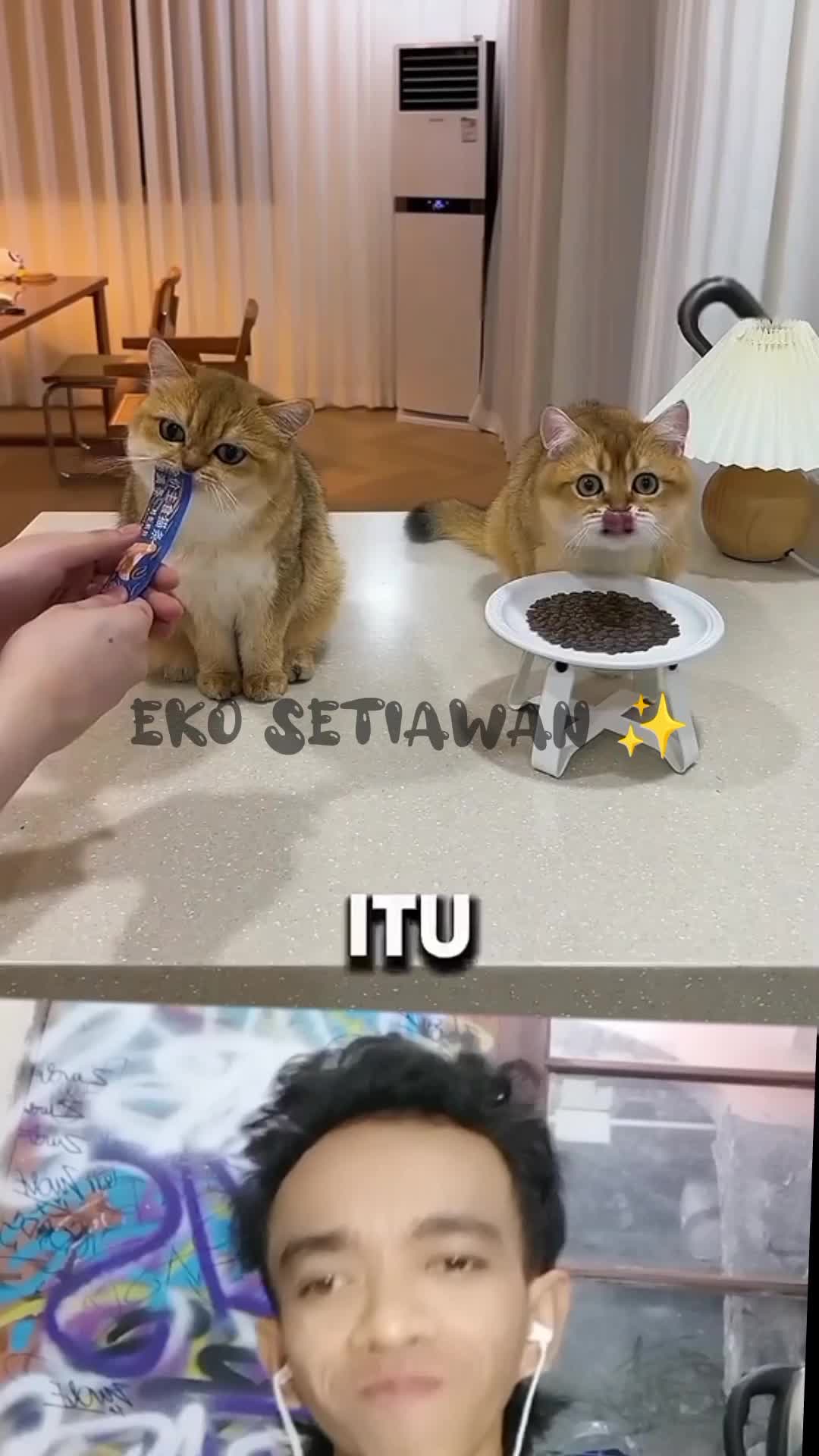 pria ini mencetak makanan favorit kucing nya????