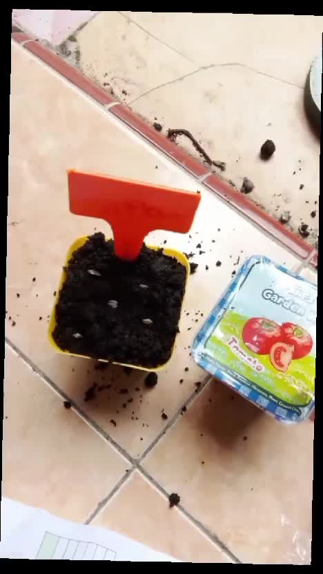 bikin liburan anak makin seru dengan kid's garden kit  #liburansekolah  #berkebunbagipemula  #ideberlibur 